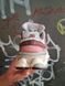 Жіночі кросівки New Balance 9060 Cherry Blossom re-9356 фото 4