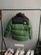 Зимняя куртка THE NORTH FACE 700 Green re-128028 фото 12