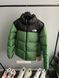 Зимняя куртка THE NORTH FACE 700 Green re-128028 фото 11