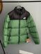 Зимняя куртка THE NORTH FACE 700 Green re-128028 фото 1