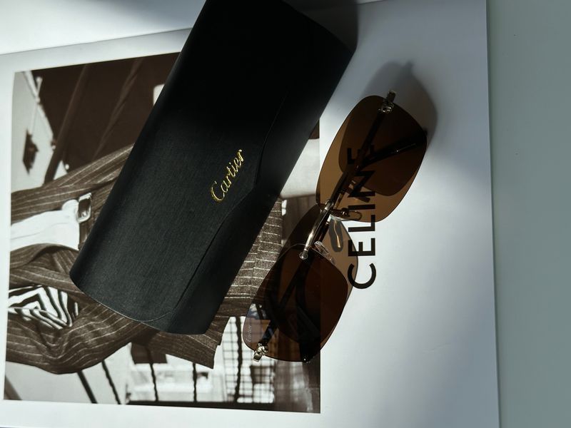 Солнцезащитные очки Cartier CT0148O 001 Brown/Silver Premium фото