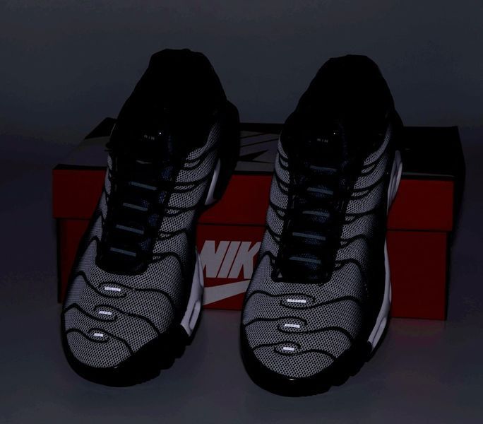 Мужские кроссовки Nike Air Max TN Plus Grey Black Blue фото