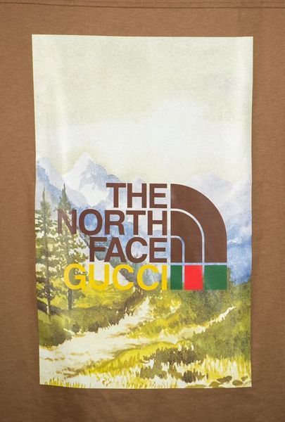 Унисекс Premium Футболка The North Face x Gucci артикул F0008 фото