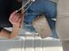 Жіноча сумка Chanel Classic Beige Lambskin Pearl Crush Vanity Bag Premium re-126595 фото 8