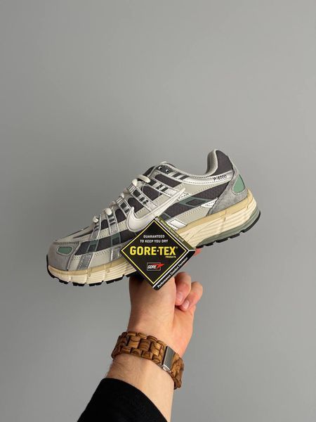 Чоловічі кросівки Nike P-6000 'Flat Pewter' FN7509-029 Gore-Tex фото