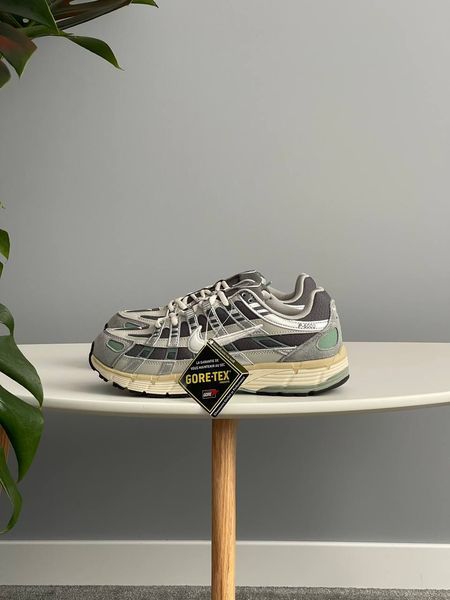 Чоловічі кросівки Nike P-6000 'Flat Pewter' FN7509-029 Gore-Tex фото