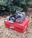 Мужские кроссовки Nike Air Trainer 1 SP Grey Red re-8866 фото 5