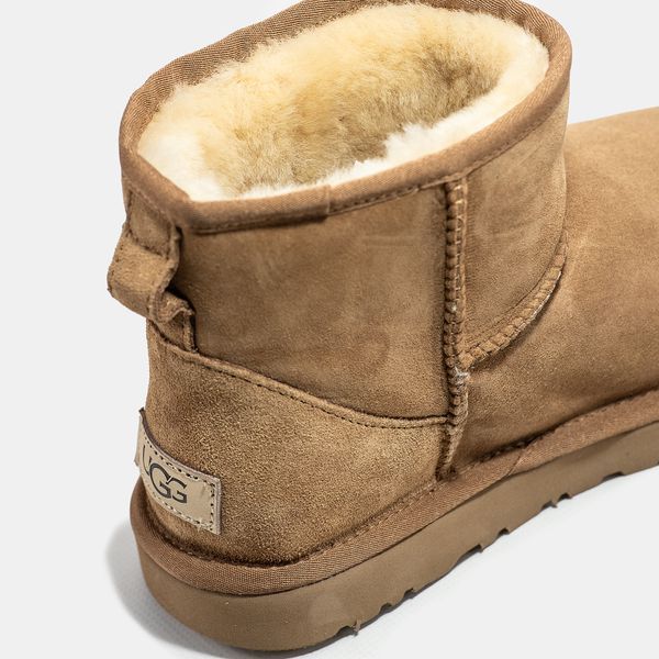 Женские и мужские зимние ботинки UGG Classic Mini Chestnut Premium фото