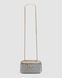 Женская сумка Chanel Classic Grey Lambskin Pearl Crush Vanity Bag Gold Premium re-12194 фото 2