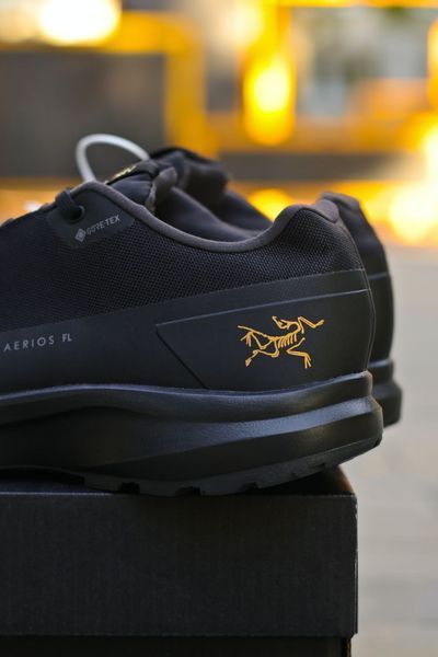 Мужские кроссовки Arc&rsquo;teryx Aerios FL 2 Gtx Black фото