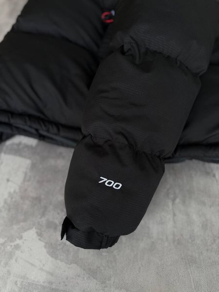 Зимняя куртка THE NORTH FACE Black фото