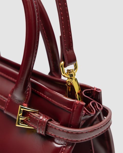 Жіноча сумка Prada Bonnie Mini Handbag Burgundy Premium фото