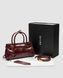 Жіноча сумка Prada Bonnie Mini Handbag Burgundy Premium re-128883 фото 1